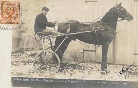 Le corse al trotto | Storia e Memoria di Bologna