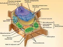 Maybe you would like to learn more about one of these? Soal Dan Jawaban Ipa Kelas Vii Semester 2 Halaman 26