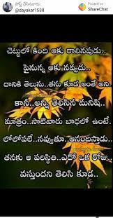 Pin By Harika Kalyan On Love Quotes In Telugu Birthday Wishes Quotes Brother Birthday Quotes Wish Quotes