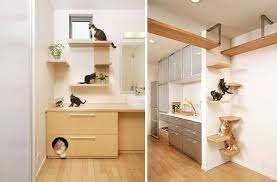 Maison Des Chats Comment Amenager Son Appartement Chat Appartement Appartement
