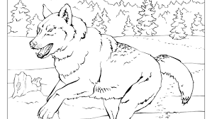 Check spelling or type a new query. Coloring Book Animals A To I