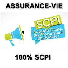Quel Contrat D Assurance Vie Choisir Pour Investir A 100 En Scpi Guide Assurance Vie
