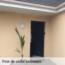 Economisez avec notre option de livraison gratuite. Entreprise Pose De Cache Moineau 42 Loire Tel 04 82 29 62 69
