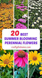 Check spelling or type a new query. Late Summer Blooming Perennial Flowers Summer Flowers Garden Flowers Perennials Spring Season Flowers