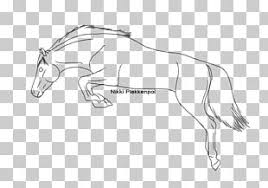 Don't make your mustang all flabby with no sense of realism. How To Draw A Mustang Horse Png Images How To Draw A Mustang Horse Clipart Free Download