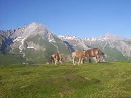 Activités des agences de voyage, voyagistes, services de réservation et. Tourisme Dans Les Hautes Pyrenees
