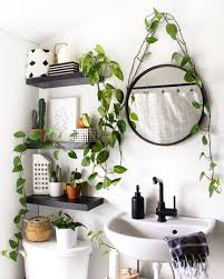 How To Care For A Golden Pothos Houseplant That Planty Life In 2020 Small Bathroom Decor Home Decor Decor