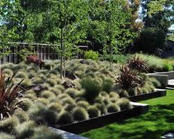Modern Garden Mass Planting Google Search