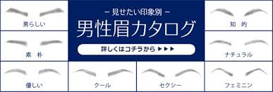 男性眉毛カタログ 眉毛 男性
