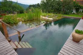 Natural Swimming Pool Trend Cleanwater Pools That Blend With Your Landscape Part 10 Natural Swimming Pools Swimming Pools Backyard Natural Pool