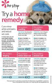 216610784f5f464d339fde7c3d0b6d99 Jpg 736 1176 Dog Care Dog Remedies Pet Remedies