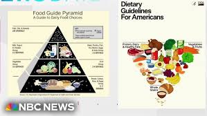 Image result for Nutrition Guidelines