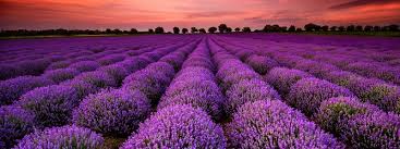 26 марта 2021 года, пятница. 26 Marta Kakoj Segodnya Prazdnik Informator Kiev