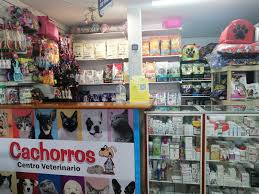 CACHORROS CENTRO VETERINARIO
