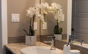 We did not find results for: Quelles Plantes D Interieur Installer Dans Une Salle De Bain