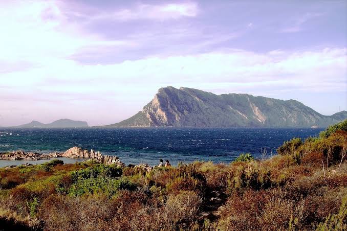 Cala Finanza: ok del Governo al mega resort di lusso in un'area protetta  dove non si può costruire | Sardegna che cambia