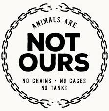 Exposes And Undercover Investigations Peta Animal Rights Animal Liberation Animal Activism