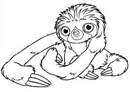 Each printable highlights a word that starts. Sloth Coloring Pages Best Coloring Pages For Kids
