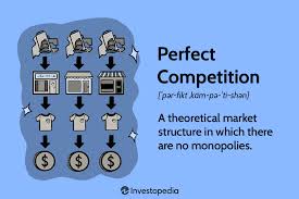 Perfect Competition: Examples and How It Works