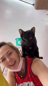 Kung wala pa kayong Black Cat sa mga color shade collection nyo😁please  adopt one, Di kayo magsisi super lambing,demanding sa attention,clingy and  sweet.., Meet our Mavies my adopted puspin ❤️Hindi ...