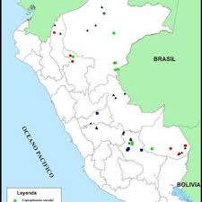 We did not find results for: Mapa De Localidades En Peru De Coprophanaeus Spp Download Scientific Diagram