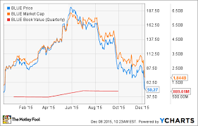 whats next for bluebird bio the motley fool