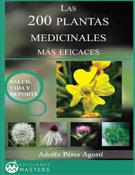 Esta planta perenne, arbustiva semiperennifolia de sudáfrica es popular en todos los países con clima templado más cálido o subtropical. Las 200 Plantas Medicinales Mas Eficaces By Javier Laplaza Issuu