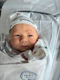 Lovepedal Hermida SNS Appreciation Thread Part Deux--The Ham Sammich Lives! 