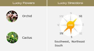 I am sure you know basic maths, so subtract 2001 from 2020, or to make it a bit easier for you, subtract 01 which is 1 from 20 and that will give you the answer. Year Of The Snake 1977 1989 2001 Chines Zodiac Fortune 2021