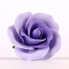 We did not find results for: Large Tea Roses Lavender Caljavaonline