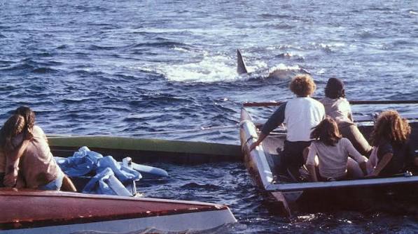 Jaws 2 | truTV.com