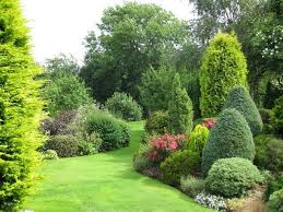 Evergreen Borders Garden Pinterest Garden Landscape Design Landscape Design Evergreen Garden