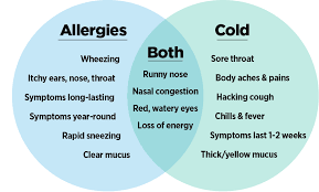 Infographic Describing The Common Symptoms And Differences Between The Cold And Allergies Nasal Congestion Itchy Ears Allergies