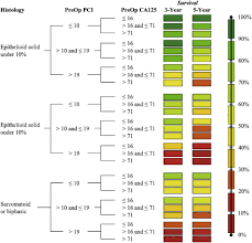 Peritoneal mesothelioma is a cancer in the lining of the abdomen. Peritoneal Mesothelioma Psogi Euracan Clinical Practice Guidelines For Diagnosis Treatment And Follow Up European Journal Of Surgical Oncology