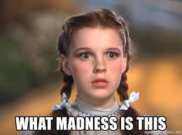What Madness Is This Dorothy Frightened Meme Generator