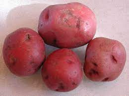 Learn what happens if you eat moldy food and how to prevent mold on food? Red Potatoes Ingredients Descriptions And Photos An All Creatures Org Vegetarian Vegan Recipe Ingredient