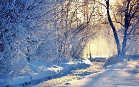 Winter Google Search Winter Pictures Winter Wallpaper Winter Wallpaper Hd