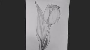 How To Draw A Flower For Absolute Beginners In 2021 Drawing For Beginners Drawings Flower Drawing