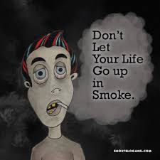 Pin On Quotes