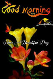 Pin By Eron On Good Morning In 2021 Good Morning Thursday Beautiful Day Have A Beautiful Day