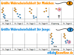 Lerne, wann du am fruchtbarsten bist und wie du deine fruchtbaren tage berechnen kannst. Fruchtbarkeitsrechner Geschlecht Eisprung Fruchtbare Tage