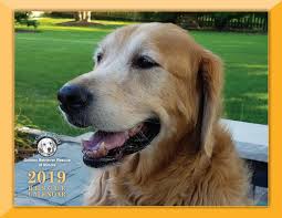 You'll be asked to provide information about yourself and what you are looking for so the breeder can help you find the right. 2019 As Good As Gold Rescue Calendar By Jolanta Bahena Issuu