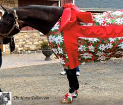 Christmas Present Costume The Horse Tailor Christmas Horses Christmas Present Costume Horse Costumes