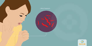 Bakteria yang menyebabkan tuberkulosis, mycobacterium tuberculosis, merebak apabila pesakit tb meludahkan. Tbc Tuberkulosis Tanda Dan Gejala Penyebab Cara Mengobati Cara Mencegah