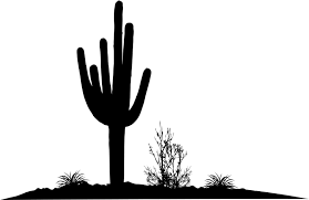 In order to get a beautiful flower image we need to color the flower as the video tutorial above. Desert Cactus Silhouette Clipart Full Size Clipart 1629908 Pinclipart