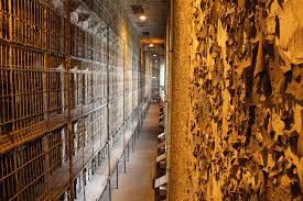 Image result for Yellow 1990 Ohio State of