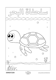 كتاب تلوين الحيوانات البحرية تلوين سلحفاة البحر صفحة 5 coloring books turtle coloring pages animal coloring books