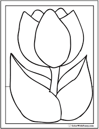 Pinks and yellows would look very good on this tulip coloring page, but feel free to go wild. Tulip Flower Coloring Pages 14 Pdf Printables