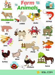 Pin By Pedro Tendero On Vocabulary General Farm Animals List Animals Name With Picture Animals Name In English