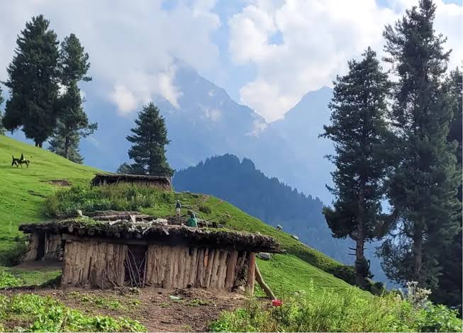 Kashmir valley scenery
